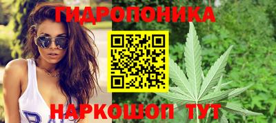стаф Пушкино