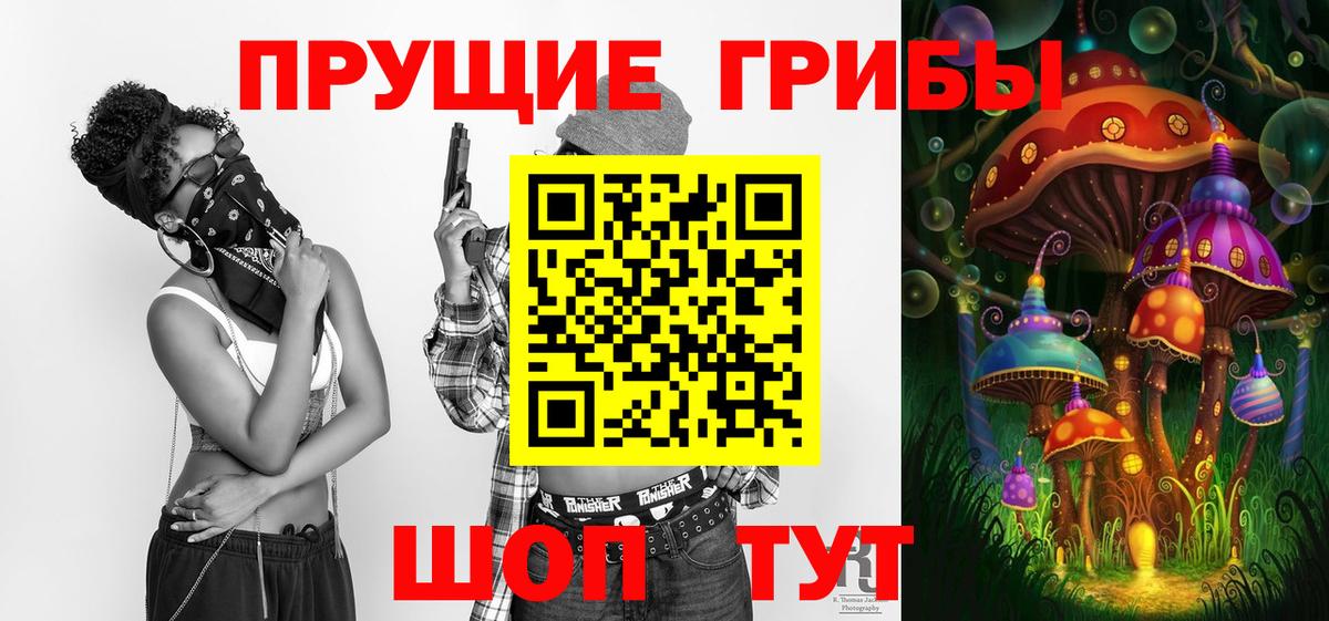 Ревда  Галлюциногенные грибы GOLDEN TEACHER  Вход с VPN  Галлюциногенные грибы Psilocybe 